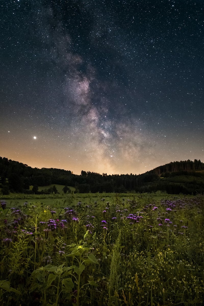 Galactic Extravaganza